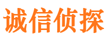 田家庵调查事务所